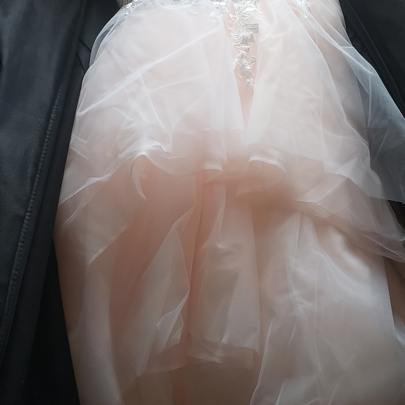 COPY - Emily Hart Bridal Lace Pink Gown Dress Wedding - Picture 15 of 15